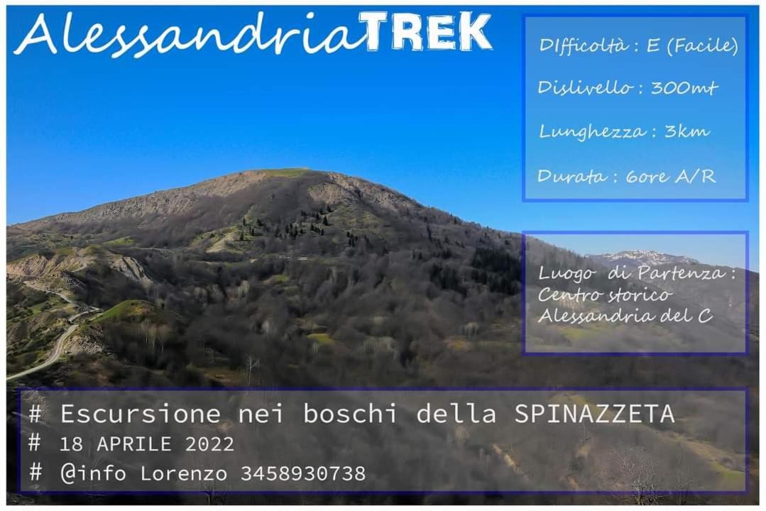 Sant'Elia B&B Alessandria del Carretto Экстерьер фото